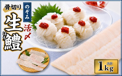 のぞみ水産 活〆 骨切り 生鱧 1kg 【2026年5月上旬から12月上旬発送予定】 はも ハモ 鱧 活締め 生はも はも鍋 鱧すき鍋 お鍋 なべ 骨切 天ぷら 湯引き からあげ 唐揚げ から揚げ 水産 海鮮 大阪府 阪南市