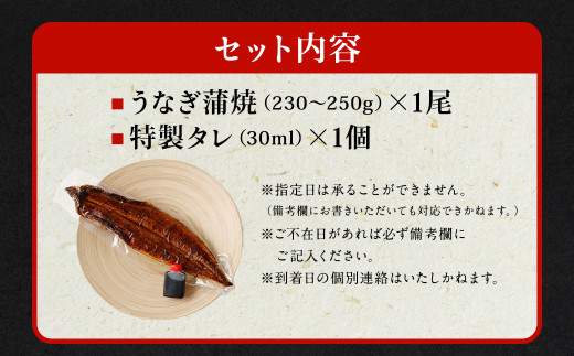 【特大】 国産 うなぎ 蒲焼 1尾 （230 ~250g） と 特製タレ 1個 セット 鰻 ウナギ 蒲焼き かば焼き うなぎの蒲焼 魚 国産うなぎ うなぎ蒲焼 セイロ蒸し せいろ蒸し タレ付 特性ダレ