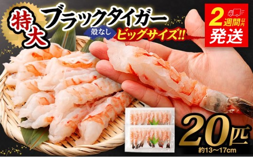 超特大 ブラックタイガー 殻なし 20匹 ビッグサイズ （約13cm～約17cm） 【入金確認後14営業日以内に発送】 えび エビ 海老 むきえび むきエビ 剥きえび 剥き海老 海老フライ エビフライ