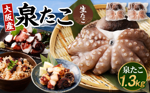 大阪産 泉タコ （生たこ）  計1.3kg 650g（1～3杯）×2袋 魚介類 海鮮 蛸 真蛸 スミ抜き 塩もみ処理 下処理済み 簡単調理 たこ焼き たこやき タコヤキ タコ焼き たこのから揚げ