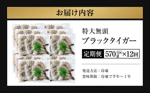 【12回定期便】特大 ブラックタイガー 無頭えび 570g前後（15尾）×12回 海老 エビ エビフライ 海老フライ えびフライ エビチリ 天丼 海鮮丼 すし スシ 寿司 大型 大容量 海鮮 魚介
