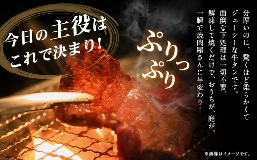 【ふるさと納税3.0対象】 極厚の厚切りタン 1kg （500g×2パック） 塩だれ×ニンニク醤油 牛タン 牛たん たん 牛タン丼 牛丼 牛タン塩 タン塩 塩タン 牛肉 お肉 肉 赤身 ステーキ 訳アリ 理由あり わけあり 焼肉