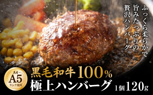 【A4～A5ランクの黒毛和牛100%】 ハンバーグ 120g×5個 （計600g） ／ 黒毛和牛 黒毛和種 和牛 国産牛 牛肉 牛 お肉 肉 ハンバーグ ハンバーグステーキ ハンバーグセット グルメ BBQ バーベキュー キャンプ アウトドア ギフト 贅沢 冷凍 個包装 大阪府 阪南市