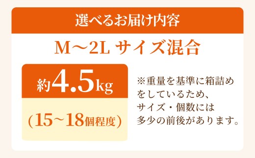 【味にこだわった新玉ねぎ】はたなかさんちの泉州玉ねぎ4.5Kg