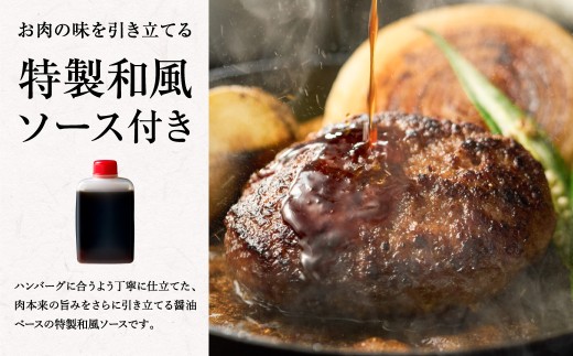【A4～A5ランクの黒毛和牛100%】 ハンバーグ 120g×5個 （計600g） ／ 黒毛和牛 黒毛和種 和牛 国産牛 牛肉 牛 お肉 肉 ハンバーグ ハンバーグステーキ ハンバーグセット グルメ BBQ バーベキュー キャンプ アウトドア ギフト 贅沢 冷凍 個包装 大阪府 阪南市