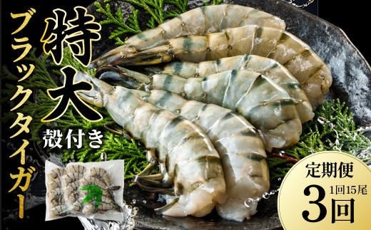 【3回定期便】超特大 約15㎝ ブラックタイガー 無頭えび 570g前後（15尾）×3回 海老 エビ エビフライ 海老フライ えびフライ エビチリ 天丼 海鮮丼 すし スシ 寿司 大型 大容量 海鮮
