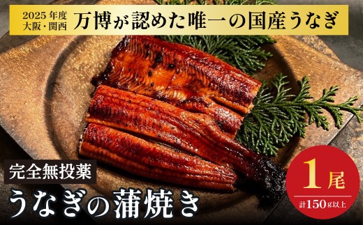 鰻 鰻の蒲焼き1尾 国産うなぎ 国産 美陵鰻 うなぎ ウナギ かば焼き 蒲焼きせいろ蒸し 土用の丑の日 土用 丑の日 贈答 贈り物 大阪府 阪南市 送料無料 ギフト 特大 肉厚 うな重 うな丼