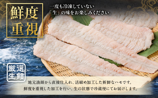 のぞみ水産 活〆 骨切り 生鱧 1kg 【2026年5月上旬から12月上旬発送予定】 はも ハモ 鱧 活締め 生はも はも鍋 鱧すき鍋 お鍋 なべ 骨切 天ぷら 湯引き からあげ 唐揚げ から揚げ 水産 海鮮 大阪府 阪南市