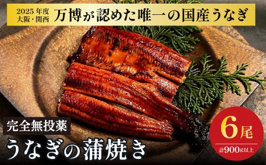 鰻 鰻の蒲焼き6尾セット 国産うなぎ 国産 美陵鰻 うなぎ ウナギ かば焼き 蒲焼きせいろ蒸し 土用の丑の日 土用 丑の日 贈答 贈り物 大阪府 阪南市 送料無料 ギフト 特大 肉厚 うな重 うな丼