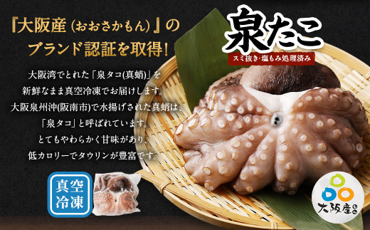 大阪産 泉タコ （生たこ） 650g （1杯～3杯）×1袋 と 茎わかめ 佃煮 180g（90g×2パック）の セット 魚介類 海鮮 蛸 たこ焼き タコ焼き タコ飯 たこ飯 たこのから揚げ