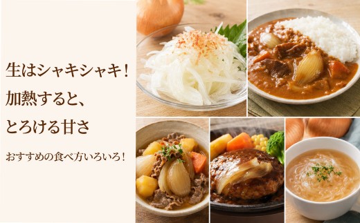 【味にこだわった新玉ねぎ】はたなかさんちの泉州玉ねぎ4.5Kg