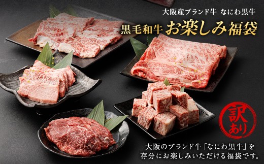 【訳あり】 【世界の首脳が食べた味】 なにわ黒牛 黒毛和牛 お楽しみ福袋 （1.0kg前後 詰め合わせ） 肩ロース リブロース 内ハラミ トウガラシ 三角バラ 国産和牛 ブランド牛 希少和牛 牛肉