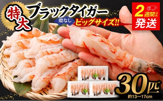 超特大 ブラックタイガー 殻なし 30匹 ビッグサイズ （約13cm～約17cm） 【入金確認後14営業日以内に発送】 えび エビ 海老 むきえび むきエビ 剥きえび 剥き海老 海老フライ エビフライ