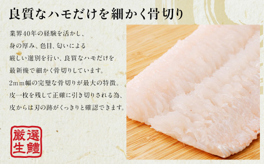 のぞみ水産 活〆 骨切り 生鱧 1kg 【2026年5月上旬から12月上旬発送予定】 はも ハモ 鱧 活締め 生はも はも鍋 鱧すき鍋 お鍋 なべ 骨切 天ぷら 湯引き からあげ 唐揚げ から揚げ 水産 海鮮 大阪府 阪南市