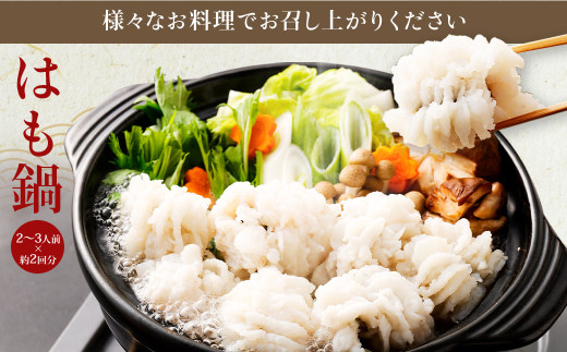 のぞみ水産 活〆 骨切り 生鱧 1kg 【2026年5月上旬から12月上旬発送予定】 はも ハモ 鱧 活締め 生はも はも鍋 鱧すき鍋 お鍋 なべ 骨切 天ぷら 湯引き からあげ 唐揚げ から揚げ 水産 海鮮 大阪府 阪南市
