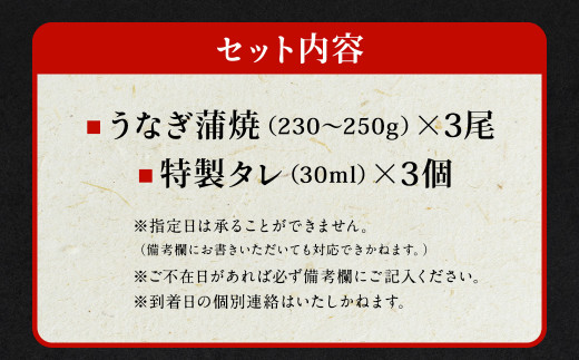 【特大】 国産 うなぎ 蒲焼 3尾 （690～750g）と 特製タレ 3個 セット 鰻 ウナギ 蒲焼き かば焼き うなぎの蒲焼 魚 国産うなぎ うなぎ蒲焼 セイロ蒸し せいろ蒸し タレ付 特性ダレ