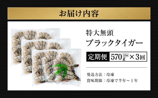 【3回定期便】超特大 約15㎝ ブラックタイガー 無頭えび 570g前後（15尾）×3回 海老 エビ エビフライ 海老フライ えびフライ エビチリ 天丼 海鮮丼 すし スシ 寿司 大型 大容量 海鮮