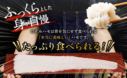 のぞみ 活〆 骨切り 生鱧 700g（はも鍋2～3人前×約2回分） 【2026年5月上旬から12月上旬発送予定】はも ハモ 鱧 活締め 生はも はも鍋 鱧すき鍋 お鍋 なべ 骨切 天ぷら 湯引き からあげ 唐揚げ から揚げ 水産 海鮮 大阪府 阪南市
