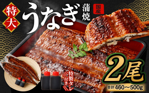 【特大】 国産 うなぎ 蒲焼 2尾 （460 ～ 500g）と 特製タレ 2個 鰻 ウナギ 蒲焼き かば焼き うなぎの蒲焼 魚 国産うなぎ うなぎ蒲焼 セイロ蒸し せいろ蒸し タレ付 特性ダレ さかな