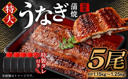【特大】 国産 うなぎ 蒲焼 5尾（1.15kg ～ 1.25kg）と 特製タレ 5個 セット 鰻 ウナギ 蒲焼き かば焼き うなぎの蒲焼 魚 国産うなぎ うなぎ蒲焼 セイロ蒸し せいろ蒸し タレ付