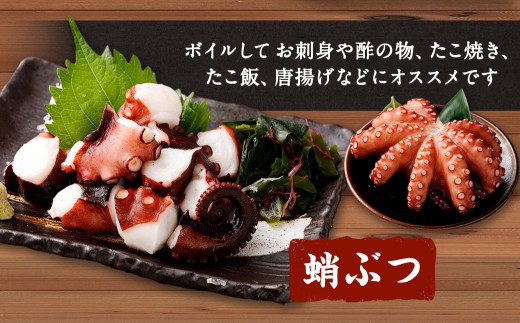 大阪産 泉タコ （生たこ） 650g （1杯～3杯）×1袋 と 茎わかめ 佃煮 180g（90g×2パック）の セット 魚介類 海鮮 蛸 たこ焼き タコ焼き タコ飯 たこ飯 たこのから揚げ