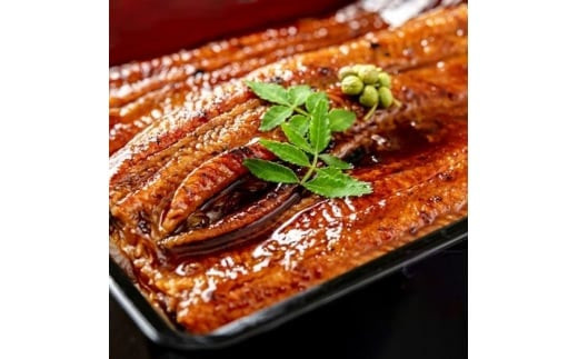 【特大】 国産 うなぎ 蒲焼 5尾（1.15kg ～ 1.25kg）と 特製タレ 5個 セット 鰻 ウナギ 蒲焼き かば焼き うなぎの蒲焼 魚 国産うなぎ うなぎ蒲焼 セイロ蒸し せいろ蒸し タレ付