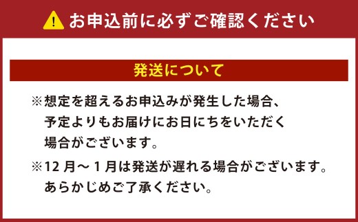 驚きのジャンボサイズ 背ワタ無し むきエビ 3kg 【入金確認後14営業日以内に発送】 えび 海老 むきえび 剝きエビ 剥きえび 剥き海老 海老フライ エビフライ エビチリ エビマヨ アヒージョ 天丼