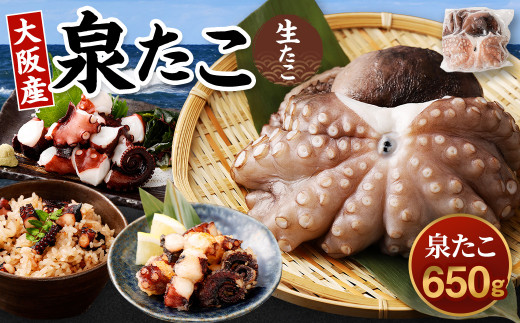 大阪産 泉タコ （生たこ） 650g （1杯～3杯）×1袋 魚介類 海鮮 蛸 真蛸 スミ抜き 塩もみ処理 下処理済み 簡単調理 たこ焼き たこやき タコヤキ タコ焼き たこのから揚げ タコのから揚げ