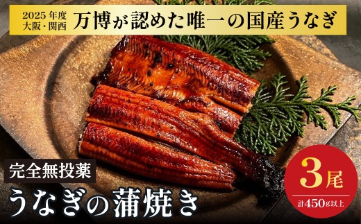 鰻 鰻の蒲焼き3尾セット 国産うなぎ 国産 美陵鰻 うなぎ ウナギ かば焼き 蒲焼きせいろ蒸し 土用の丑の日 土用 丑の日 贈答 贈り物 大阪府 阪南市 送料無料 ギフト 特大 肉厚 うな重 うな丼