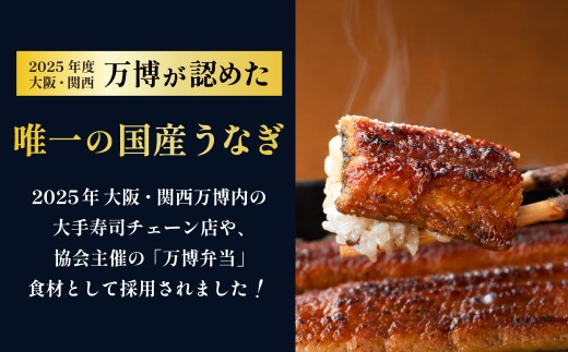 鰻 鰻の蒲焼き1尾 国産うなぎ 国産 美陵鰻 うなぎ ウナギ かば焼き 蒲焼きせいろ蒸し 土用の丑の日 土用 丑の日 贈答 贈り物 大阪府 阪南市 送料無料 ギフト 特大 肉厚 うな重 うな丼