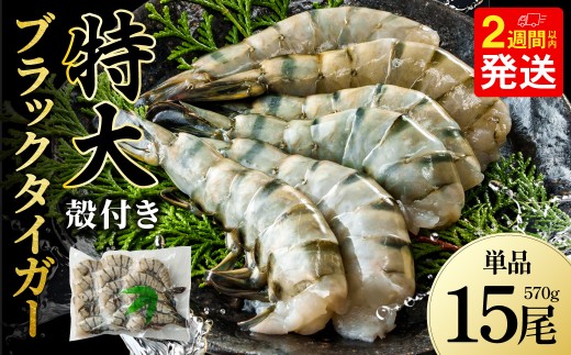 特大 ブラックタイガー 無頭えび 570g前後（15尾） 【入金確認後14営業日程度で発送】 海老 エビ 海老フライ エビフライ えびフライ エビチリ 天丼 海鮮丼 すし スシ 寿司 大型 大容量