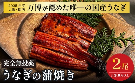 鰻 鰻の蒲焼き2尾セット 国産うなぎ 国産 美陵鰻 うなぎ ウナギ かば焼き 蒲焼きせいろ蒸し 土用の丑の日 土用 丑の日 贈答 贈り物 大阪府 阪南市 送料無料 ギフト 特大 肉厚 うな重 うな丼