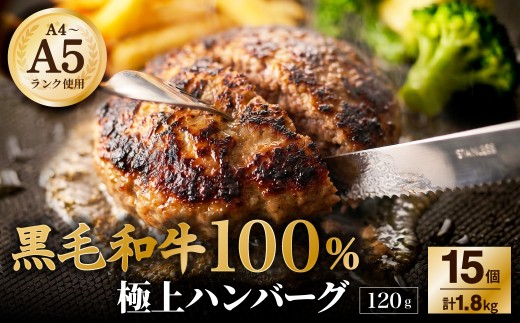 【ふるさと納税3.0対象】【A4～A5ランクの黒毛和牛100%】 ハンバーグ 120g×15個 （計1.8kg） ／  黒毛和牛 黒毛和種 和牛 国産牛 牛肉 牛 お肉 肉 ハンバーグ ハンバーグステーキ ハンバーグセット グルメ BBQ バーベキュー キャンプ アウトドア ギフト 贅沢 冷凍 個包装 大阪府 阪南市