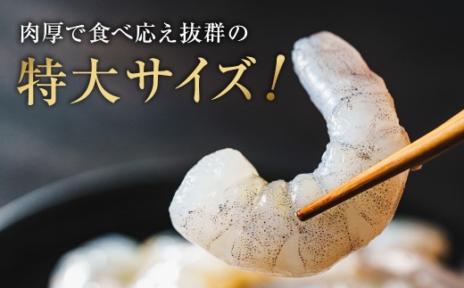 特大 むきエビ 背ワタなし 1.2kg 【入金確認後14営業日以内に発送】 えび 海老 むきえび 剥きエビ 剥きえび 剥き海老 海老フライ エビフライ エビチリ エビマヨ 焼きそば アヒージョ むき身