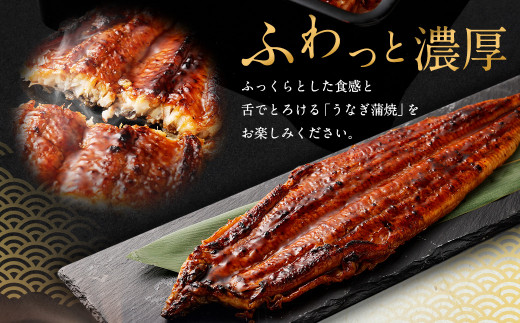 【特大】 国産 うなぎ 蒲焼 1尾 （230 ~250g） と 特製タレ 1個 セット 鰻 ウナギ 蒲焼き かば焼き うなぎの蒲焼 魚 国産うなぎ うなぎ蒲焼 セイロ蒸し せいろ蒸し タレ付 特性ダレ