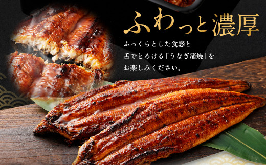 【特大】 国産 うなぎ 蒲焼 2尾 （460 ～ 500g）と 特製タレ 2個 鰻 ウナギ 蒲焼き かば焼き うなぎの蒲焼 魚 国産うなぎ うなぎ蒲焼 セイロ蒸し せいろ蒸し タレ付 特性ダレ さかな
