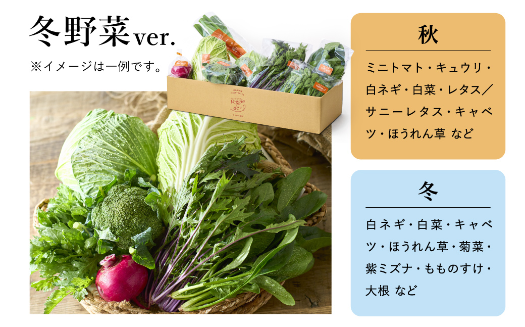旬のお野菜を新鮮な状態でお届け！ベジプラ特選 旬の野菜セット / 野菜 詰め合わせ セット 野菜セット 新鮮 ギフト やさい 産地直送 苦みが少ない 甘みが強い【野菜例：キャベツ 白菜 ミニトマト レタス とろり葱 ほうれん草 など 】 【Veggie de ＋】