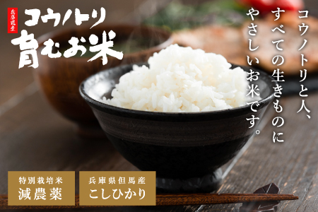 減農薬 令和7年産 パックライス 200g 24食 / 特別栽培米 パックご飯 コウノトリ育むお米 米 コシヒカリ お米 ごはん レンチン ご飯 白米 非常食 長期保存 備蓄 電子レンジ ライス ご飯パック