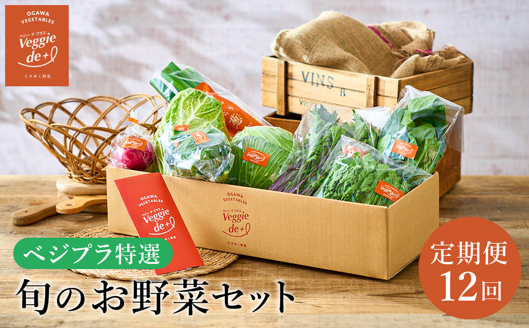 旬の新鮮なお野菜を産地直送！ベジプラ特選 旬の野菜セット【定期便：12回　毎月お届け】 / 野菜 詰め合わせ セット 野菜セット 新鮮 ギフト やさい 苦みが少ない 甘みが強い Veggie de＋【野菜例：キャベツ 水菜 ミニトマト レタス とろり葱 ほうれん草等】