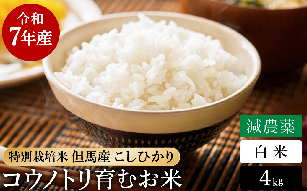 令和7年産 減農薬 白米 特別栽培米 4kg コウノトリ育むお米 但馬産 こしひかり 兵庫県産(2kg×2袋)（94-003）減農薬 お米 4キロ 精米 白米 コウノトリ米 コシヒカリ コメ こめ ご飯 ライス 減農薬米