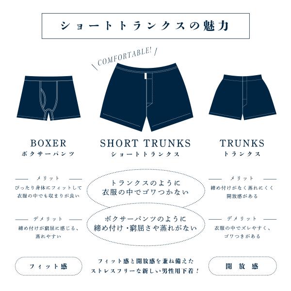 メンズ 下着 ショート トランクス Lサイズ 1枚 / 柄 / 05：Botanical beige / ZIVANE ジバン / 締め付け感の無い / 専用BOX付き アンダーウェア