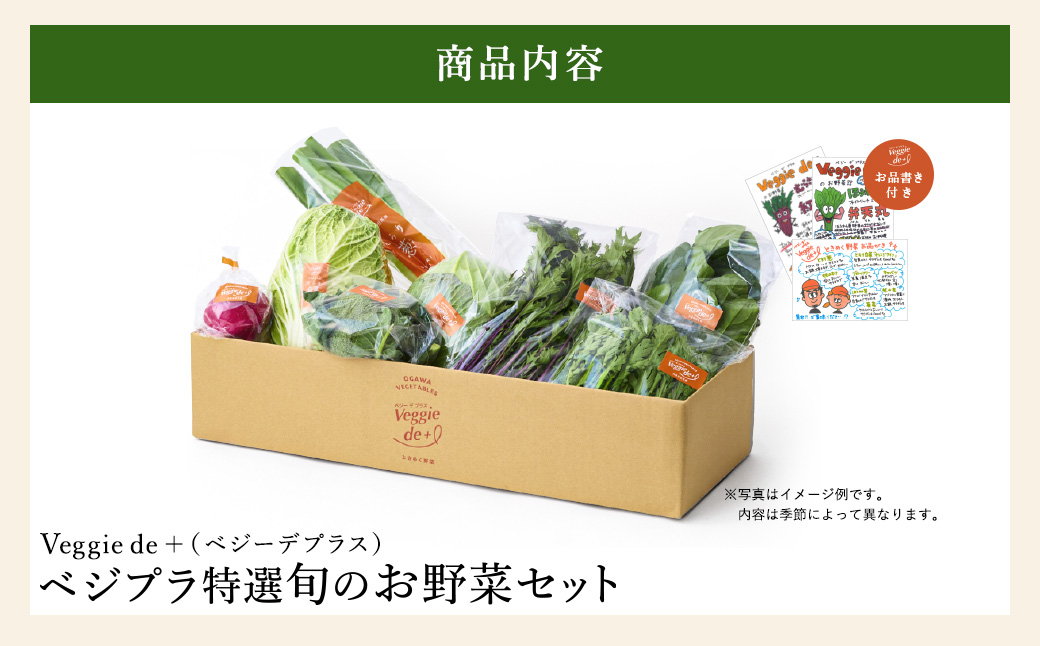 旬の新鮮なお野菜を産地直送！ベジプラ特選 旬の野菜セット【定期便：4回　春(5月)・夏(7月)・秋(11月)・冬(1月) 】 / 野菜 詰め合わせ セット 野菜セット 新鮮 ギフト やさい 苦みが少ない 甘みが強い Veggie de＋【野菜例：キャベツ 水菜 ミニトマト レタス とろり葱 ほうれん草等】