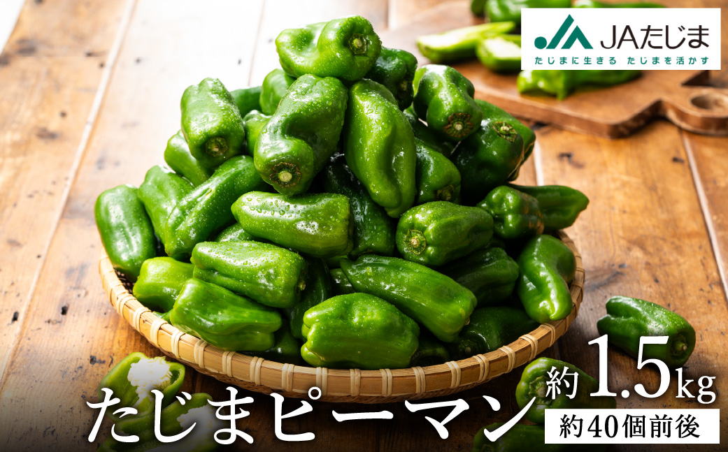 【数量限定】 たじまピーマン 約1.5kg / 7月中旬から順次発送 肉厚 ピーマン 肉詰め 新鮮 野菜 産地直送 やさい 苦みが少ない 甘みが強い 歯ごたえが良い 濃い緑 夏秋ピーマン
