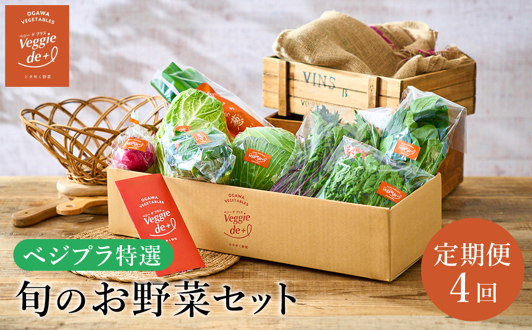旬の新鮮なお野菜を産地直送！ベジプラ特選 旬の野菜セット【定期便：4回　春(5月)・夏(7月)・秋(11月)・冬(1月) 】 / 野菜 詰め合わせ セット 野菜セット 新鮮 ギフト やさい 苦みが少ない 甘みが強い Veggie de＋【野菜例：キャベツ 水菜 ミニトマト レタス とろり葱 ほうれん草等】