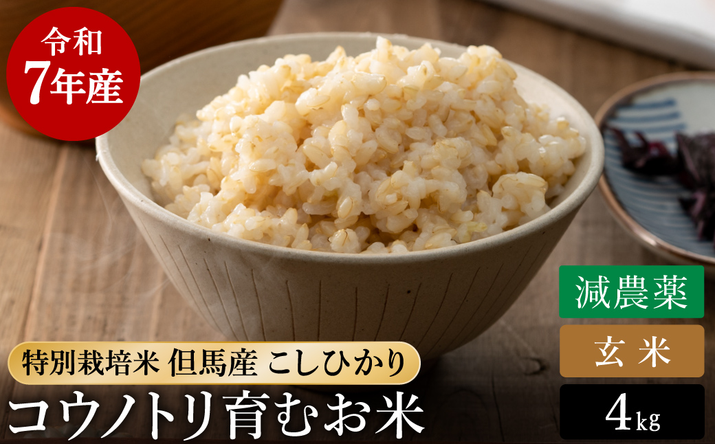 令和7年産 減農薬 玄米 特別栽培米 4kg コウノトリ育むお米 但馬産 こしひかり 兵庫県産(2kg×2袋) 減農薬 お米 4キロ 玄米 コウノトリ米 コシヒカリ コメ こめ ご飯 ライス 減農薬米