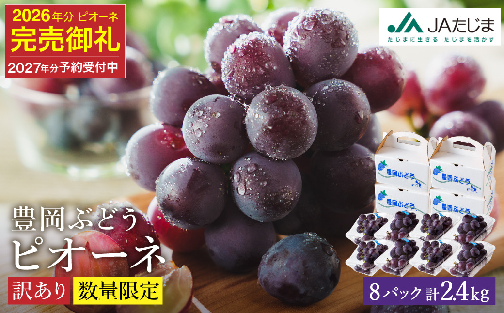 【2027年先行予約】数量限定 訳あり 豊岡ぶどう「ピオーネ」 約300g×8パック ／ ぴおーね ブドウ 葡萄 訳ありぶどう 大粒 強い甘み 爽やかな酸味 新鮮 果物 産地直送 くだもの フルーツ 上品 香り