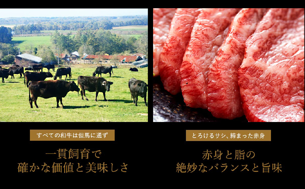 希少部位入り！極上但馬牛 焼肉セット 3種盛り【ロース モモ 希少部位1種 合計600g】牛肉 焼肉 セット 焼き肉 お肉 牛 肉 但馬牛 黒毛和牛 霜降り【但馬ビーフはまだ】