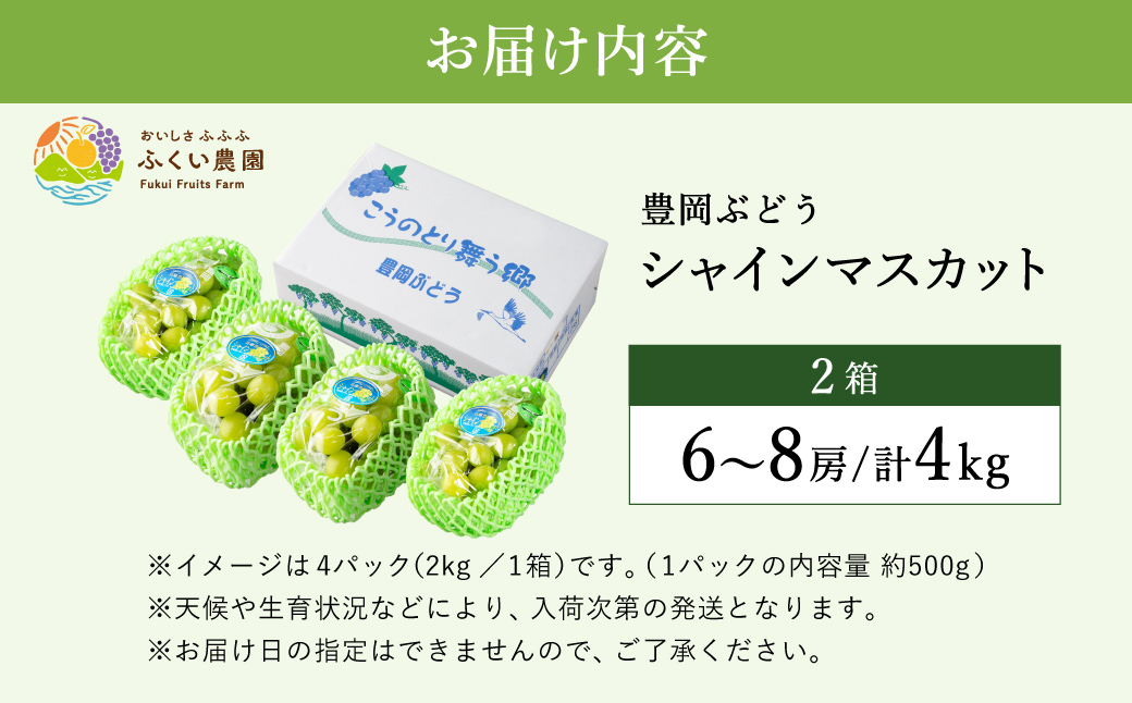 豊岡ぶどう シャインマスカット ２箱  約4kg / 豊岡ブドウ 産地直送 糖度が高い 濃厚 甘味 上品な香り 歯切れの良い 皮ごと 食べられる 減農薬 シャイン マスカット ぶどう ブドウ 葡萄 果物 くだもの フルーツ ふくい農園