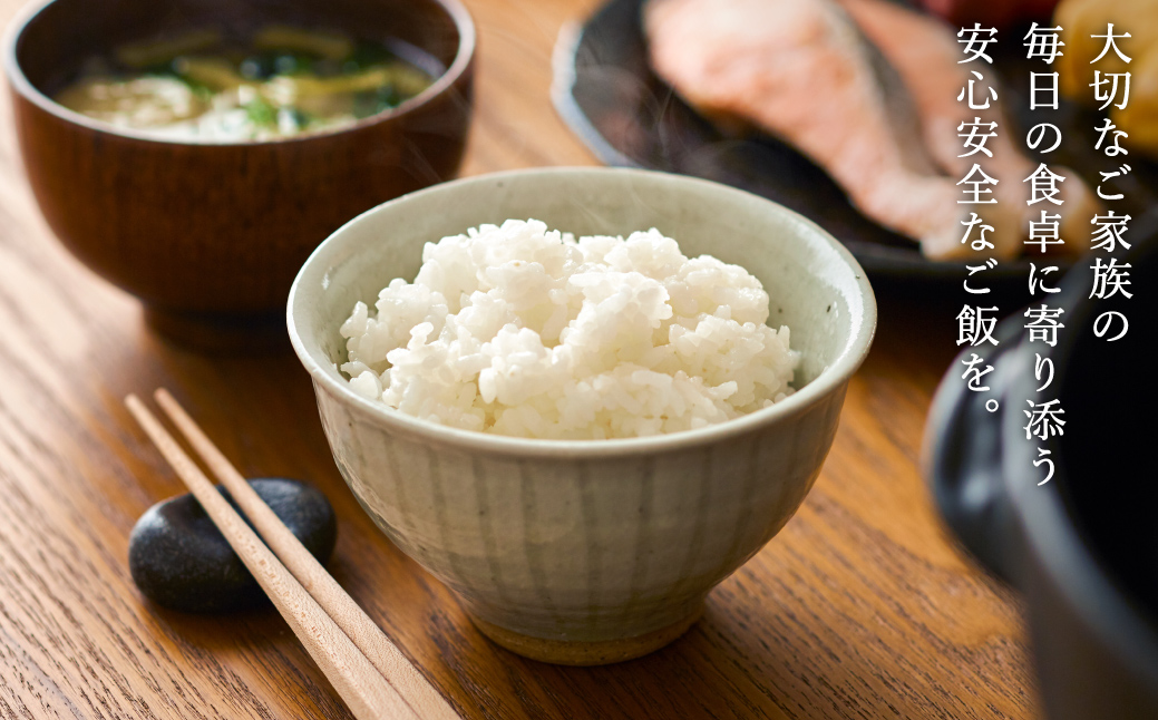 令和7年産 減農薬 玄米 特別栽培米 5kg コウノトリ育むお米 但馬産 こしひかり 兵庫県産 (5kg×1袋) 減農薬 お米 5キロ 玄米 コウノトリ米 コシヒカリ コメ こめ ご飯 ライス 減農薬米