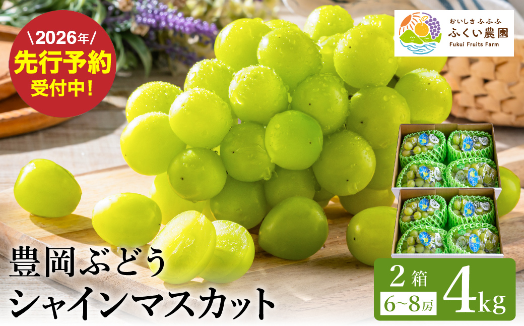 豊岡ぶどう シャインマスカット ２箱  約4kg / 豊岡ブドウ 産地直送 糖度が高い 濃厚 甘味 上品な香り 歯切れの良い 皮ごと 食べられる 減農薬 シャイン マスカット ぶどう ブドウ 葡萄 果物 くだもの フルーツ ふくい農園